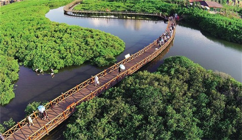 品味我家酸菜鱼