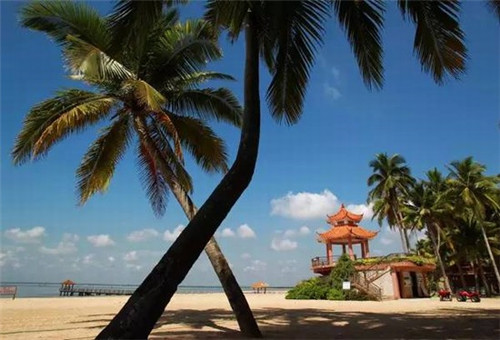 阿肥发扁食馄饨