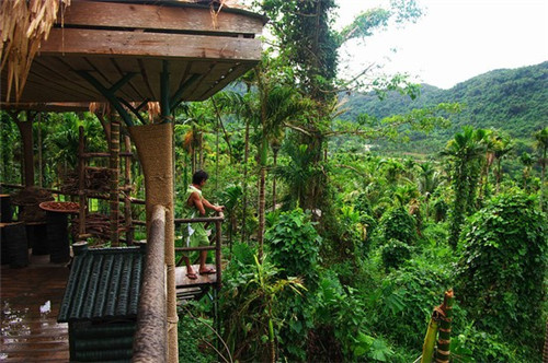 品蘭·不只是牛肉面