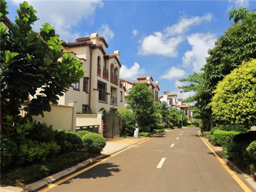 什么奶茶店有熊猫奶茶，奶茶品牌熊猫