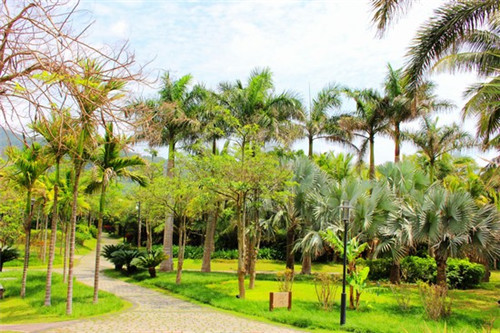 《苍溪县麻绳链创业连锁店大揭秘成功秘诀与经营之道》