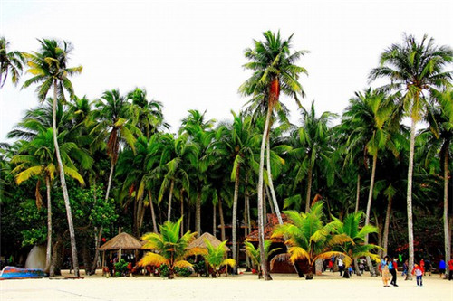 三米粥铺加盟费多少钱