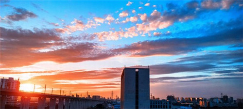 2025男士背心连锁店什么品牌口碑好