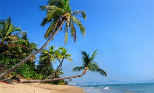 宝宝吃的炒排骨的做法（宝宝排骨怎么做肉嫩）