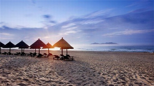 清晨在森林中漫步是什么歌（清晨森林里什么句子）