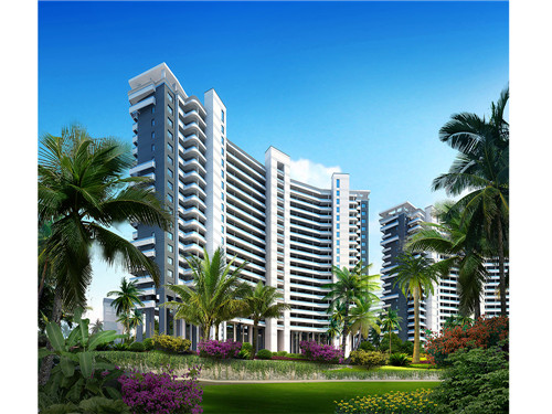 保罗十大神秘动作是什么（保罗十大神秘动作是什么电影）