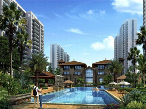 十大容易犯错的狗排名（最会犯错的动物是什么）